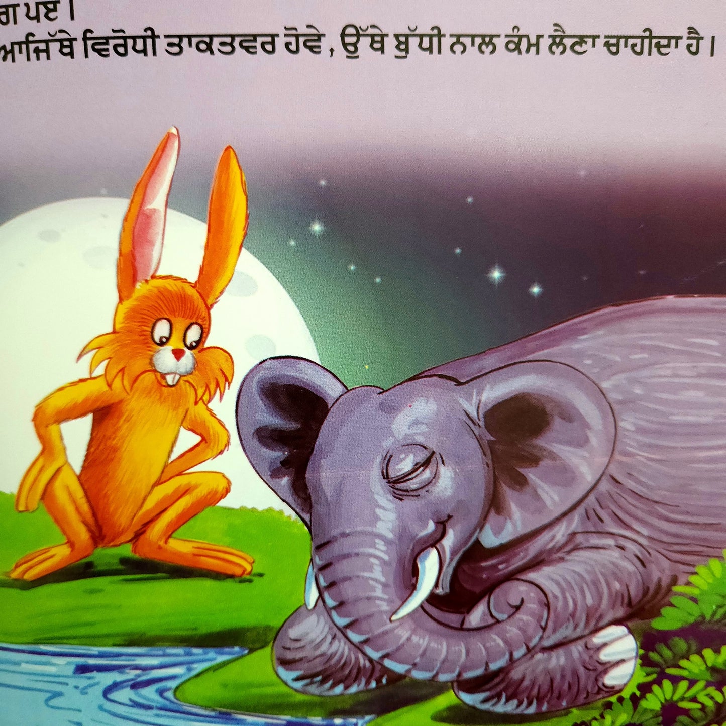 punjabi-khargosh-ate-haathi