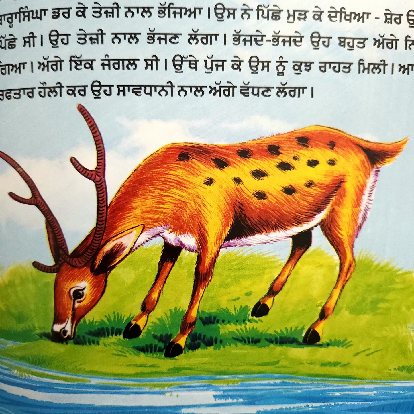 punjabi-sone-da-anda-dein-wali-murgi