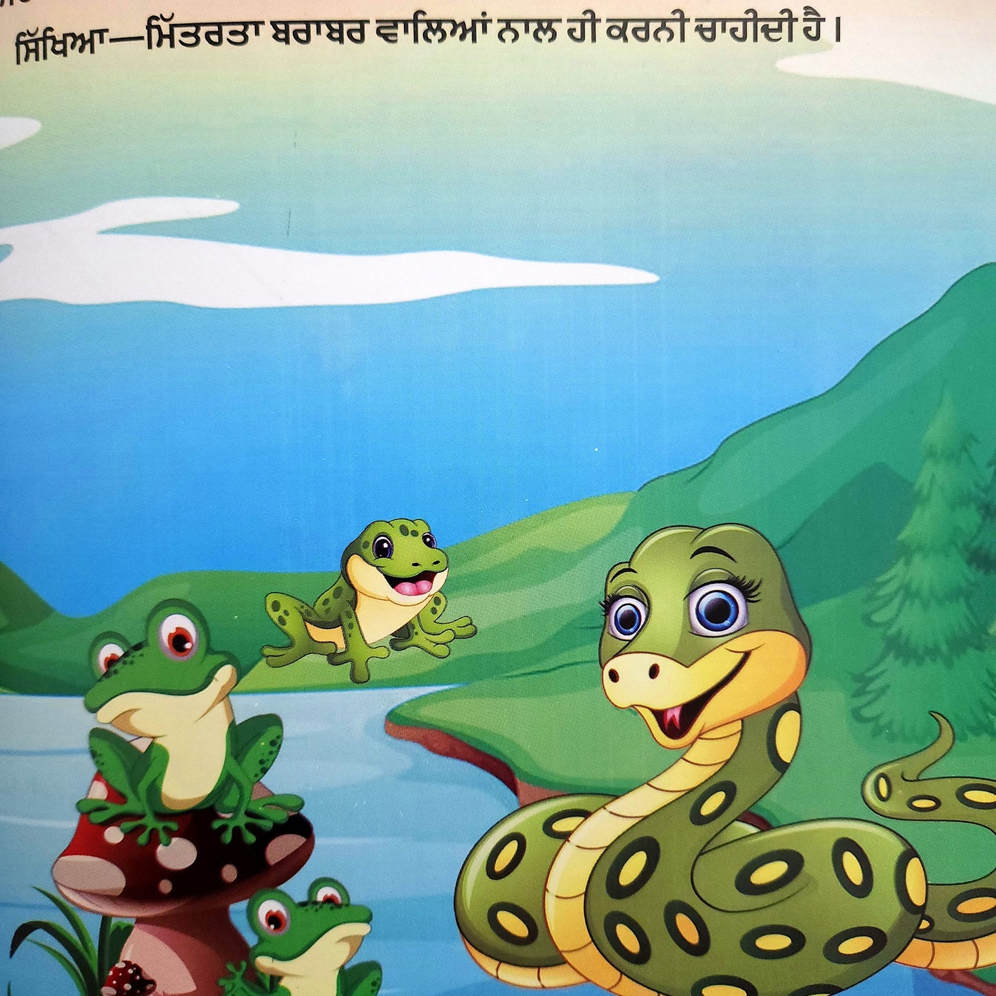 punjabi-kachhu,-cheel-ate-ka