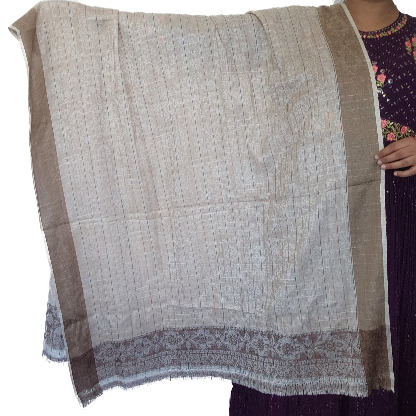 pure-wool-kashmiri-pashmina-shawl-light-brown-color-net-design-with-broad-border