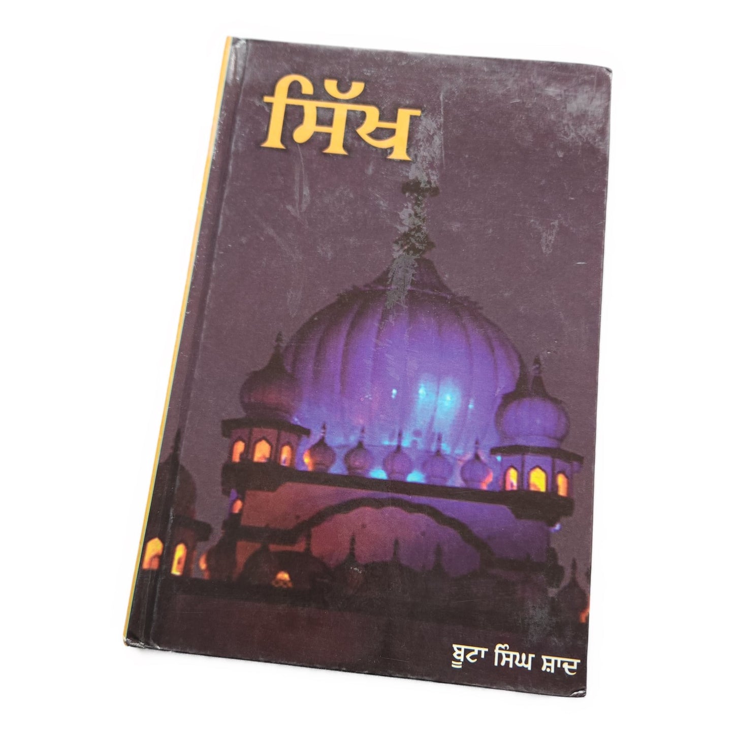 punjabi-novel-sikh