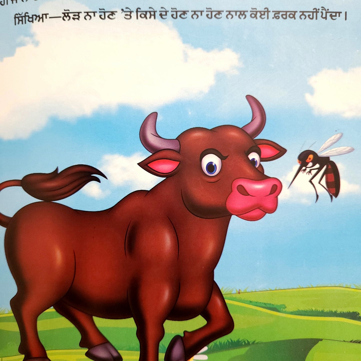 punjabi-kachhu,-cheel-ate-ka