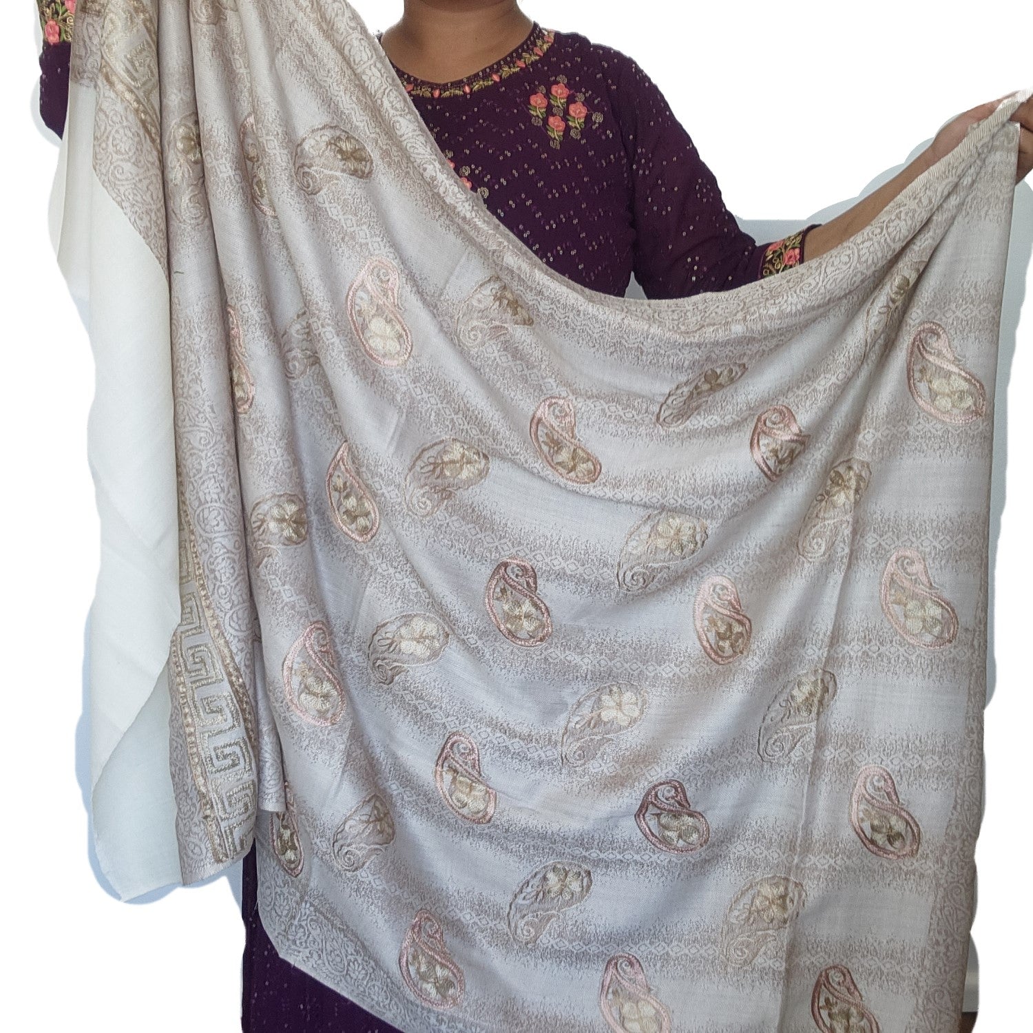 pure-wool-pashmina-shawl-cream-color-with-thread-work-with-in-and-border