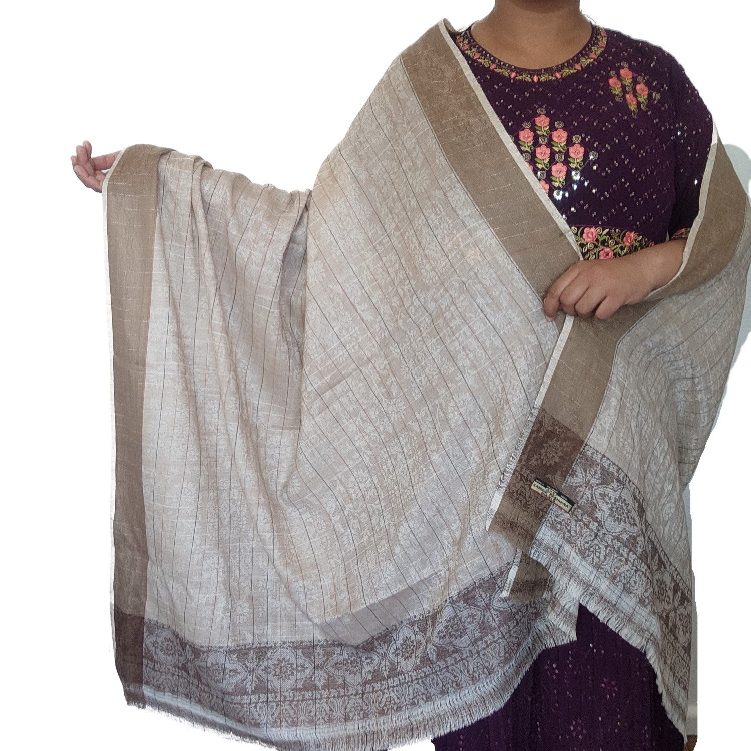 pure-wool-kashmiri-pashmina-shawl-light-brown-color-net-design-with-broad-border
